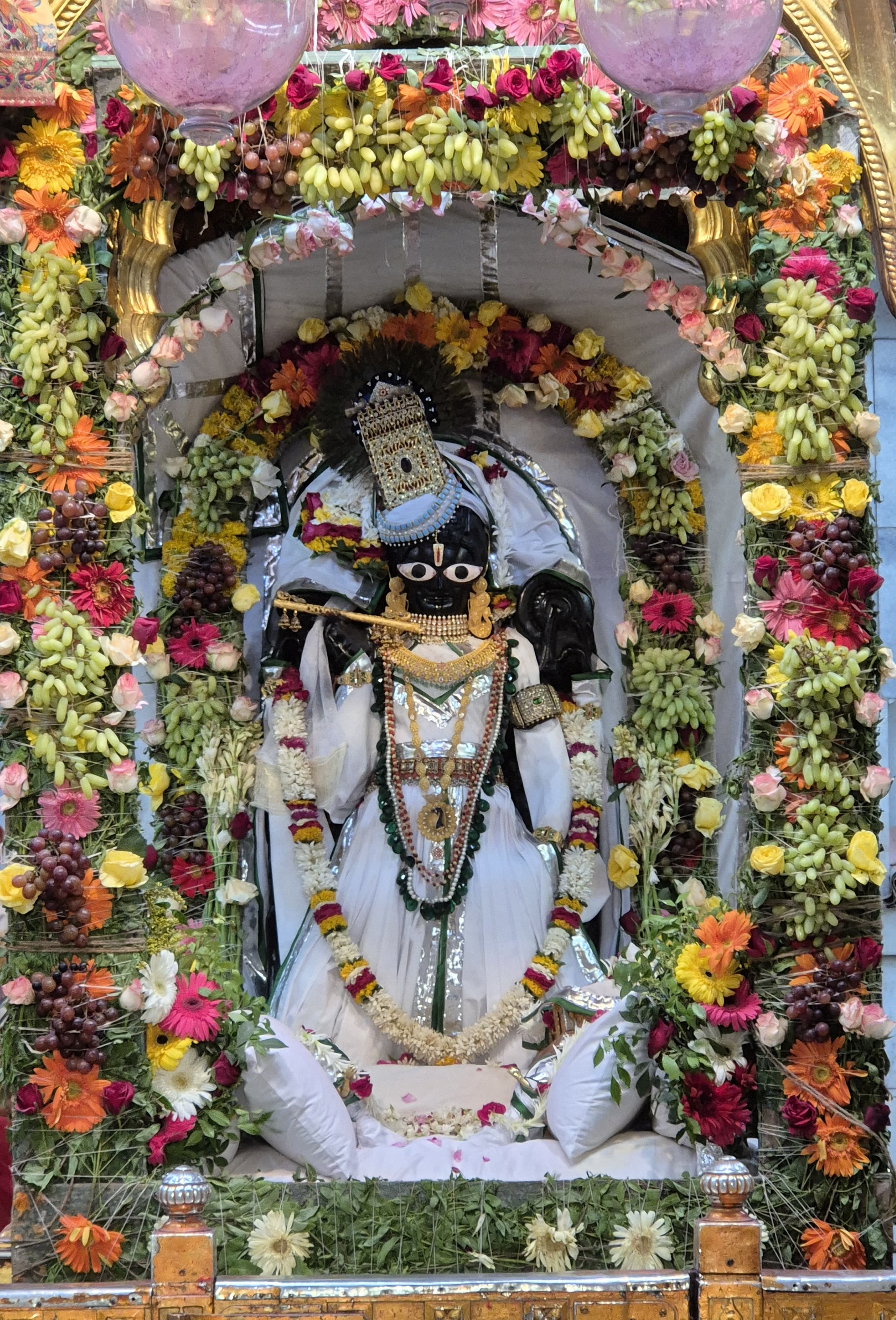 ફૂલડોળ ઉત્સવ-૨૦૨૫